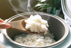 Rekomendasi Rice Cooker Paling Awet 2025 Pilihan Hemat Listrik yang Tidak Cepat Rusak