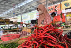 Harga Cabai Melonjak 