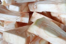 Rahasia Sehat Nangka Muda, 10 Khasiat Alami yang Jarang Diketahui