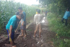 Warga Swadaya Timbun Jalan Berlumpur