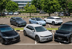 Rekomendasi Mobil Listrik Jarak Jauh di Indonesia 2026, Sekali Cas Bisa Ratusan Kilometer!