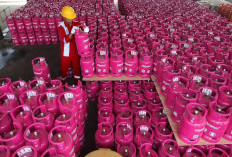 Bushet! Tidak Hanya BBM, LPG Non-subsidi Diprediksi juga Bakal Naik 