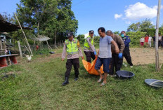 Pensiunan PNS Ditemukan Tak Bernyawa di Bawah Pohon Nangka