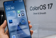 Oppo ColorOS 17 Dikabarkan Adopsi Desain Liquid Glass ala Apple