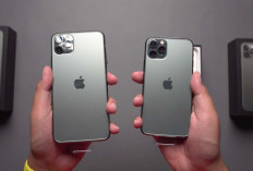 iPhone 11 Pro dan iPhone 11 Pro Max, Pilihan Menarik di Tengah Penurunan Harga
