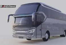 Dominasi Karoseri Nasional di GIICOMVEC 2026: Laksana dan Adiputro Pimpin Tren Pemesanan Bodi Bus
