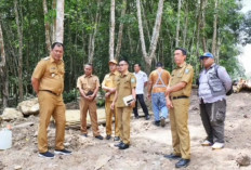 Pastikan Proyek Pembangunan Jembatan Komering 4 Tepat Waktu