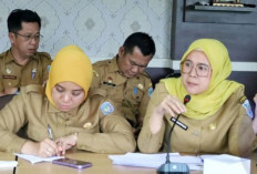 Gelar Pesta Rakyat Rayakan HUT Kabupaten OKU Selatan ke-21