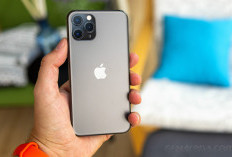 iPhone Bekas Kini Makin Terjangkau, Mulai dari Rp1 Jutaan di Juli 2025