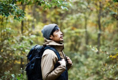 Galau? Cobain Deh Mandi Hutan Shinrin-yoku!