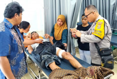 Buaya Muara Kian Meresahkan di Sumsel