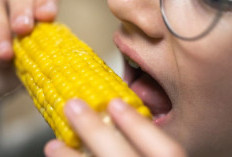 Waspada! Ini 10 Efek Buruk Jika Terlalu Banyak Makan Jagung