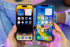 iPhone Murah Meriah di Juli 2025, Ini Daftar Harga Terbarunya! 