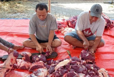 Tips Konsumsi Daging Kurban Agar Aman dari Kolesterol dan Darah Tinggi 