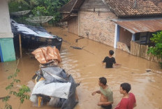 2 Desa di Desa Langganan Banjir, Warga Desak Solusi Nyata Pemerintah