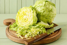Manfaat Sehat dari Sayur Kol