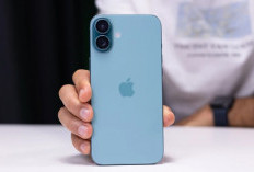 iPhone 16 Plus dengan Layar Lebih Cerah dan Chip A18 Super Kencang