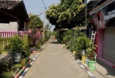 Lingkungan Bersih, Hidup Lebih Sehat! Ini 5 Cara Mudah Menjaga Kebersihan di Sekitar Kita