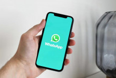 WhatsApp Uji Coba Fitur Terjemahan Pesan Offline di Android Beta