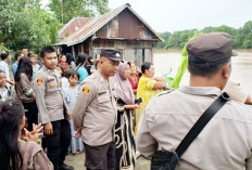 Masyarakat Panik Penampakan Buaya di Sungai Ogan