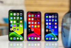 iPhone 11 Masih Layak Beli? Ini Alasan Banyak Orang Tetap Memilihnya di 2025