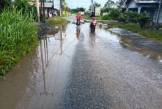 Pengajuan Alih Status Jalan Simpang Martapura-Muaradua-Danau Ranau Tak Kunjung Terealisasi