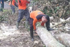 Tetapkan Siaga Darurat Banjir dan Longsor, 9 Kecamatan Masuk Zona Rawan