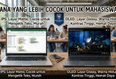 Layar IPS vs OLED di Laptop Mana yang Lebih Cocok untuk Mahasiswa?