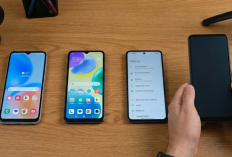 HP Rp2 Jutaan yang Lagi Viral di Mei 2026 Sudah Coba Pegang Langsung, Ini Yang Layak Dibeli