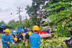 Sinergi Pemda Merangin dan PLN Bersihkan Kota Bangko, Jaga Lingkungan Sekaligus Keandalan Listrik