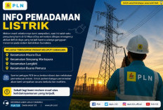 Gangguan Sistem Sumatera, Sejumlah Wilayah OKU Selatan Gelap Gulita