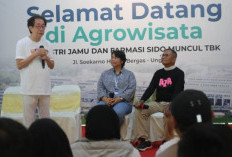 Hoax Bijaksana