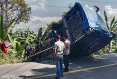 Bus AKAP Terperosok ke Jurang di Lahat