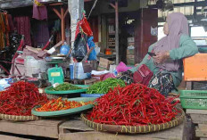 Pedagang dan Petani Cabe Kayuagung OKI Mengeluh