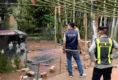 Diduga Bocor, Penggerebekan Judi Sabung Ayam di OKU Gagal Tangkap Pelaku