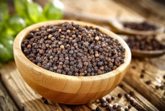 5 Manfaat Hebat Lada Hitam untuk Kesehatan Yang Jarang Diketahui