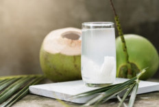 Pilihan Minuman Sehat untuk Meredakan Asam Lambung