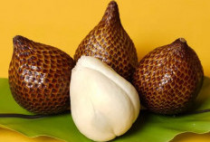 Manfaat Salak yang Bikin Kamu Makin Sayang Buah Tradisional