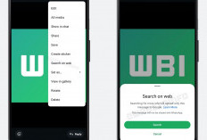 WhatsApp Uji Fitur Pencarian Gambar, Verifikasi Keaslian Gambar Kini Lebih Mudah!