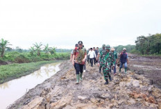 Fokus Majukan Kawasan Komering, Bakal Optimalkan Ribuan Hektar Lahan