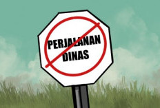 Puasa Dinas