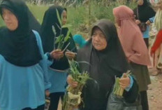 Ajak Lansia Tanam Obat-Obatan Tradisional