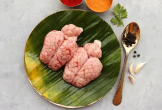 5 Manfaat Otak Sapi untuk MPASI