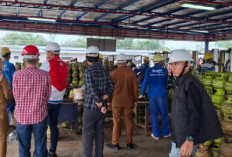 Masyarakat Keluhkan Kelanggan LPG 3 Kg, Pertamina hingga Kepolisian Lakukan Sidak