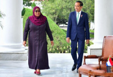 Apa Saja Hasil Pertemuan Presiden Jokowi dengan Presiden Tanzania?