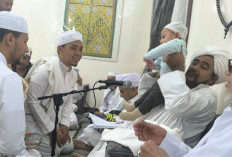 Tarim Bayi