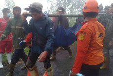 16 Orang Tewas Tertimbun Longsor di Pekalongan