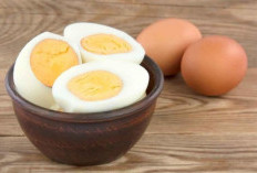 8 Manfaat Makan Telur Rebus 2 Butir Setiap Hari untuk Kesehatan Tubuh