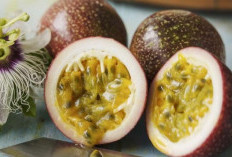Mengenal Manfaat Buah Markisa Yang Segar, Bergizi, dan Baik untuk Tubuh