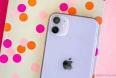 iPhone 11 Masih Jadi Pilihan Menarik di Tahun 2025, Ini 5 Alasannya